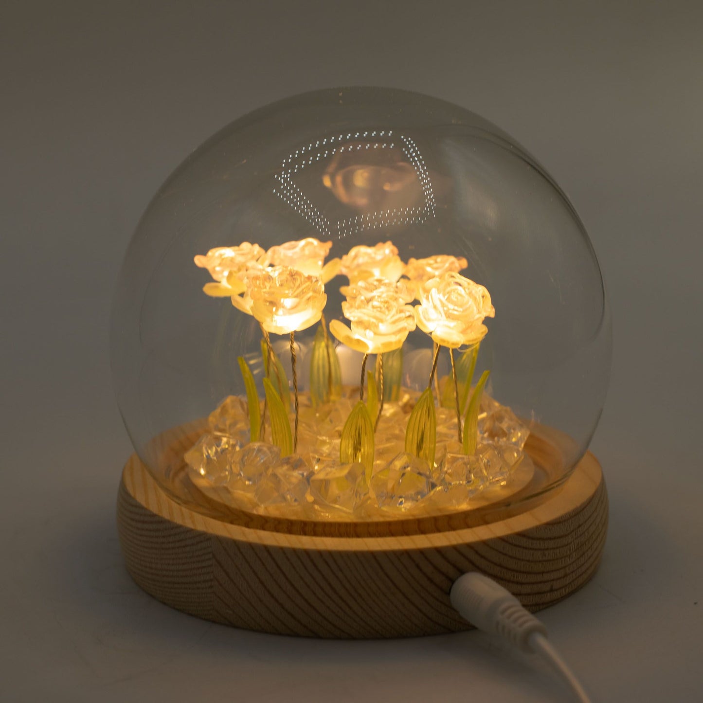 Floral Glow Garden Dome – 10 Pink Roses (LED USB)