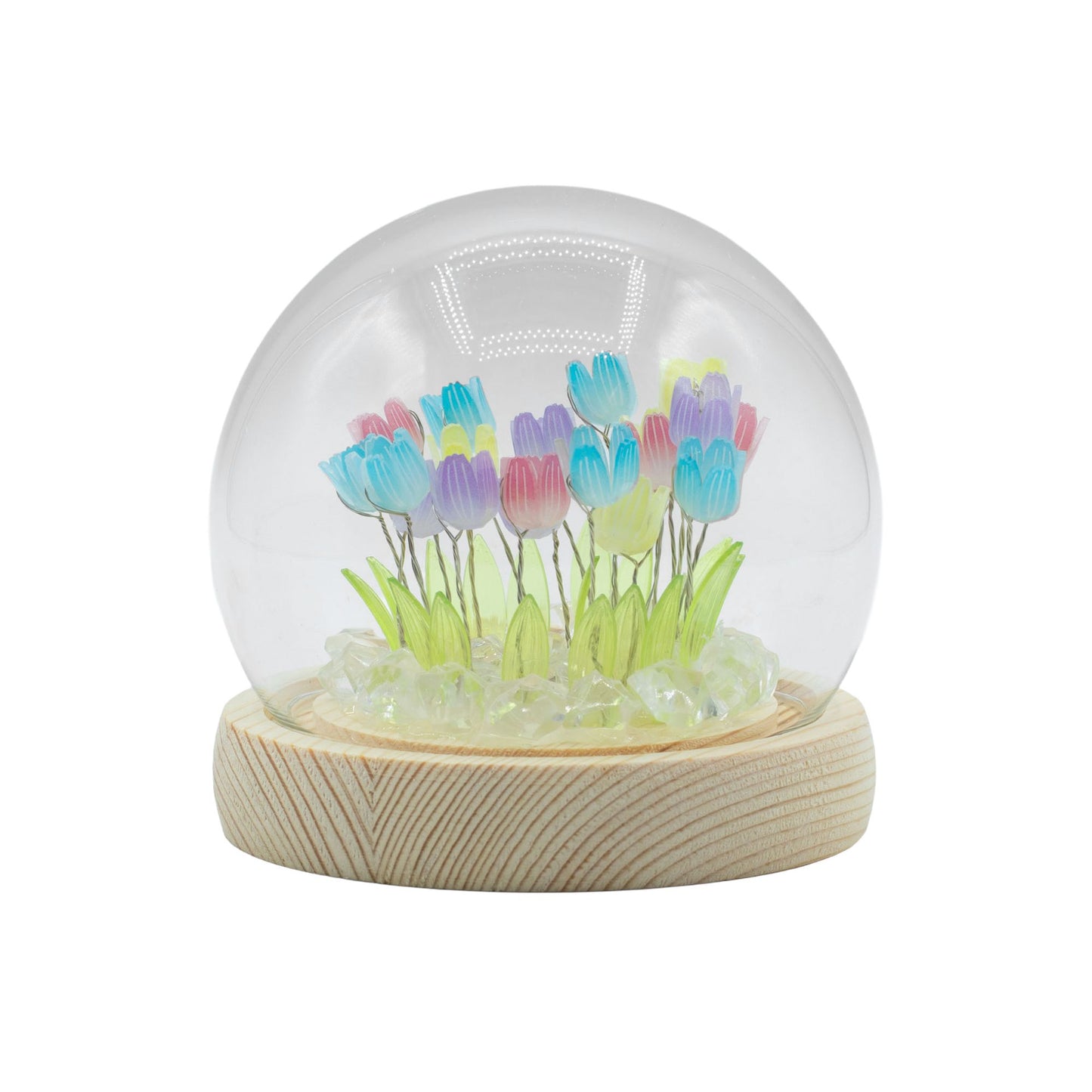 Floral Glow Garden Dome – 20 Multi Tulips (LED USB)