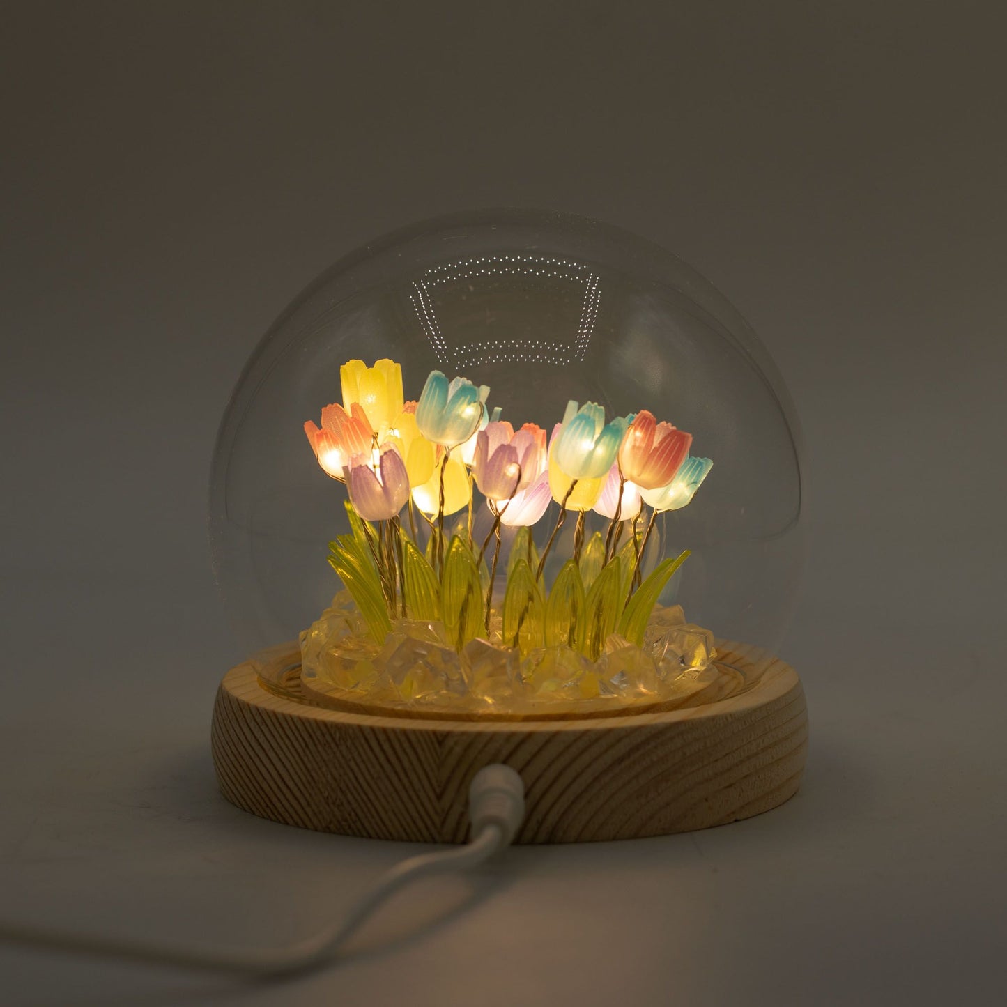 Floral Glow Garden Dome – 20 Multi Tulips (LED USB)