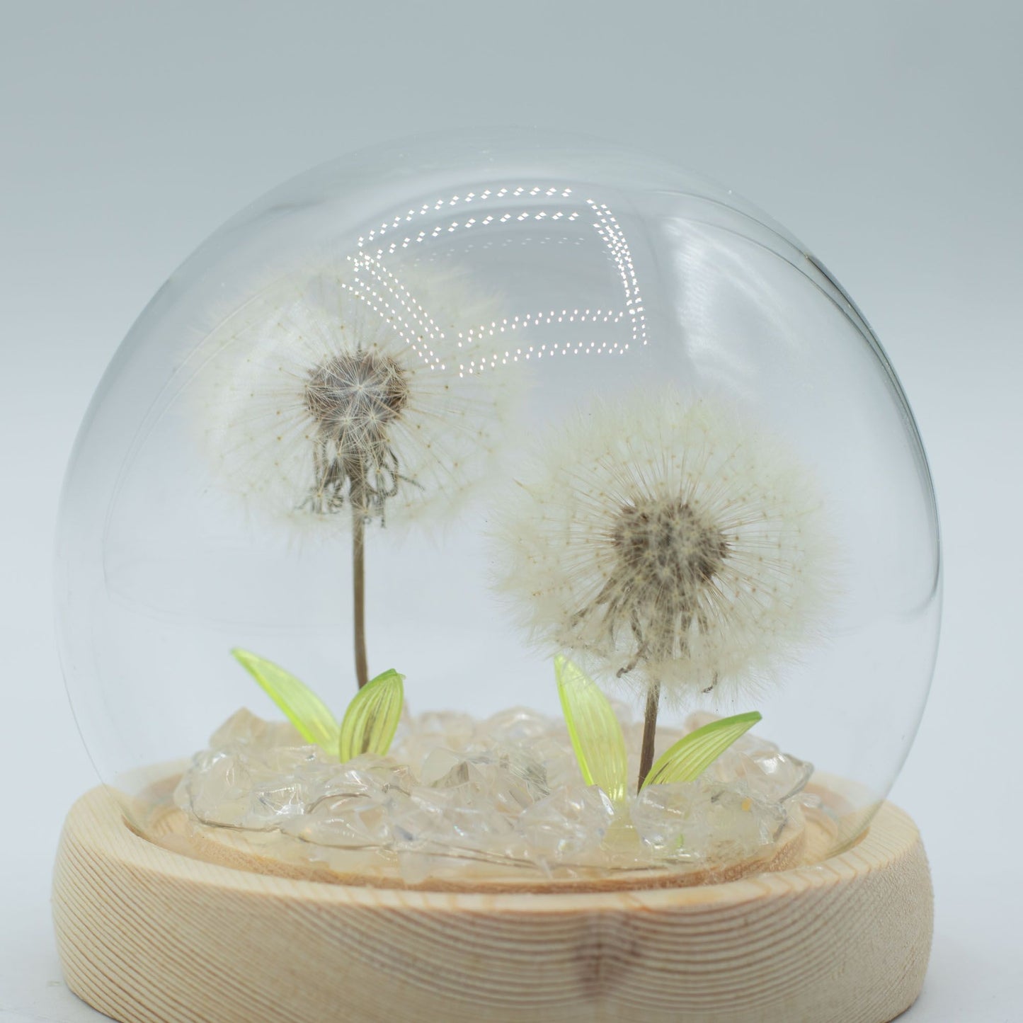 Floral Glow Garden Dome - 2 Dandelions - LED USB