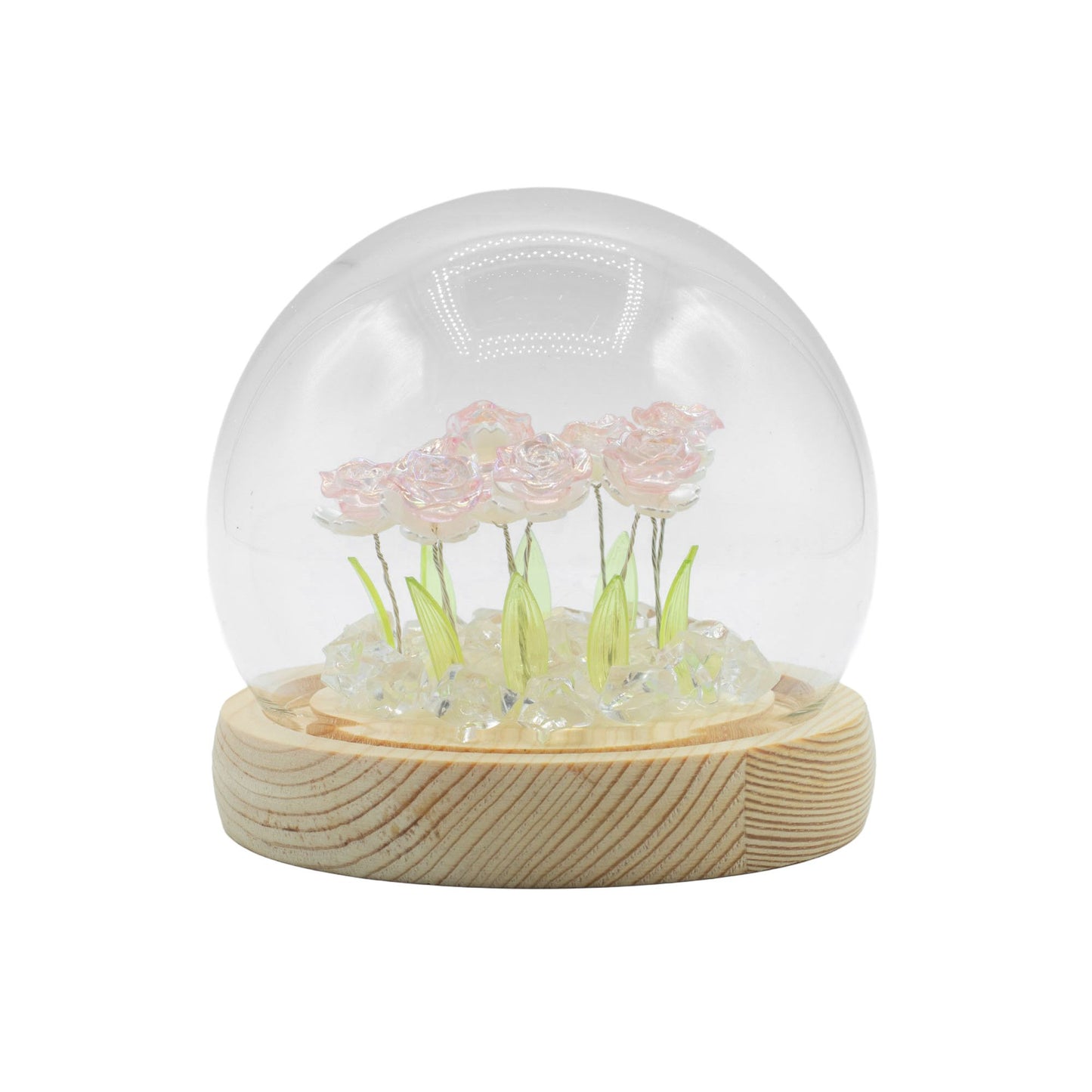 Floral Glow Garden Dome – 10 Pink Roses (LED USB)