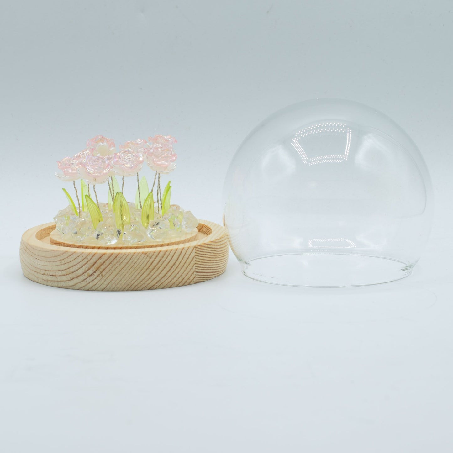 Floral Glow Garden Dome – 10 Pink Roses (LED USB)