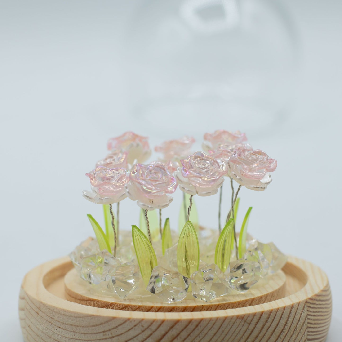 Floral Glow Garden Dome – 10 Pink Roses (LED USB)