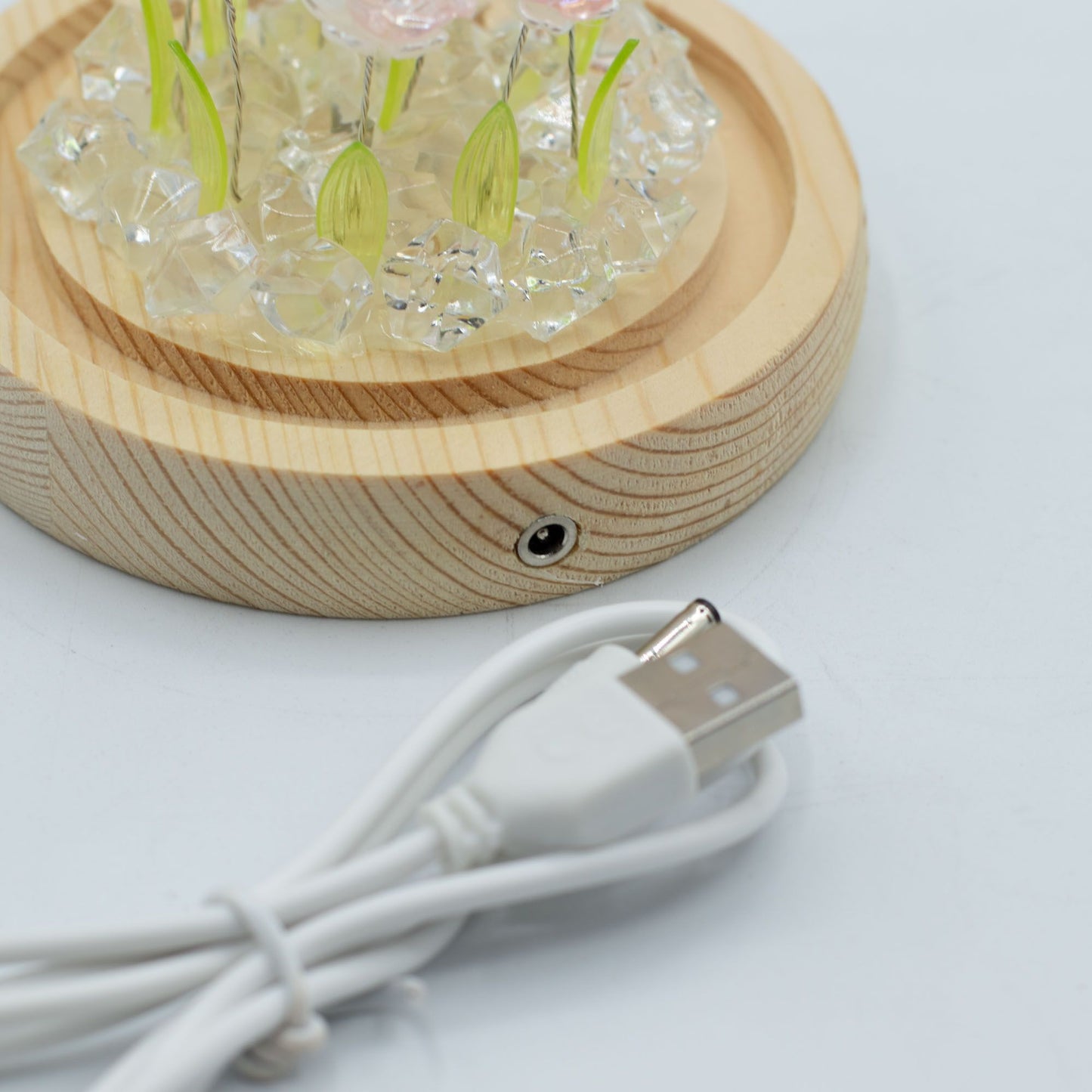 Floral Glow Garden Dome – 10 Pink Roses (LED USB)