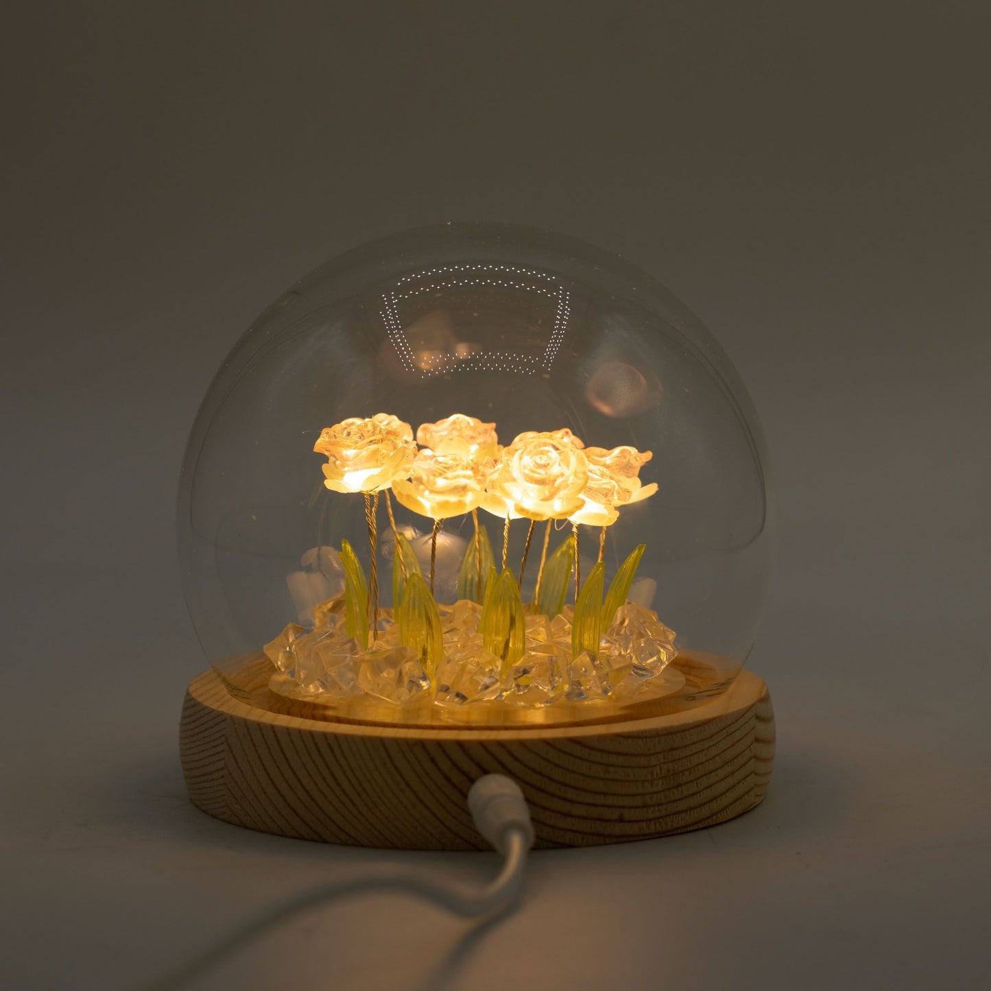 Floral Glow Garden Dome – 10 Pink Roses (LED USB)