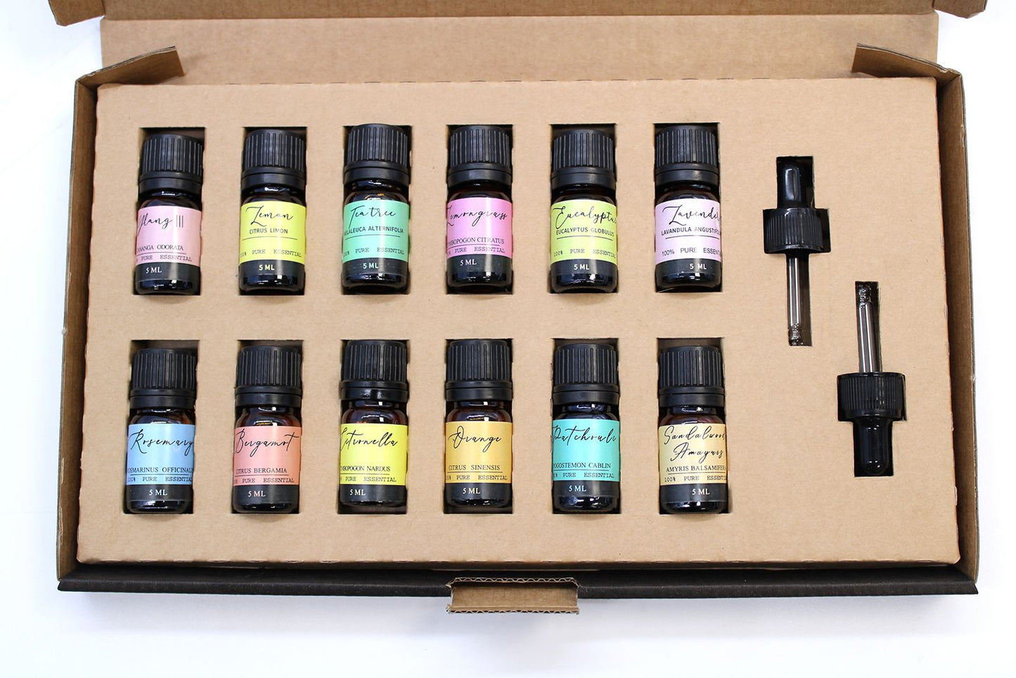 🌿 Aromatherapy Essential Oil Set – The Top 12