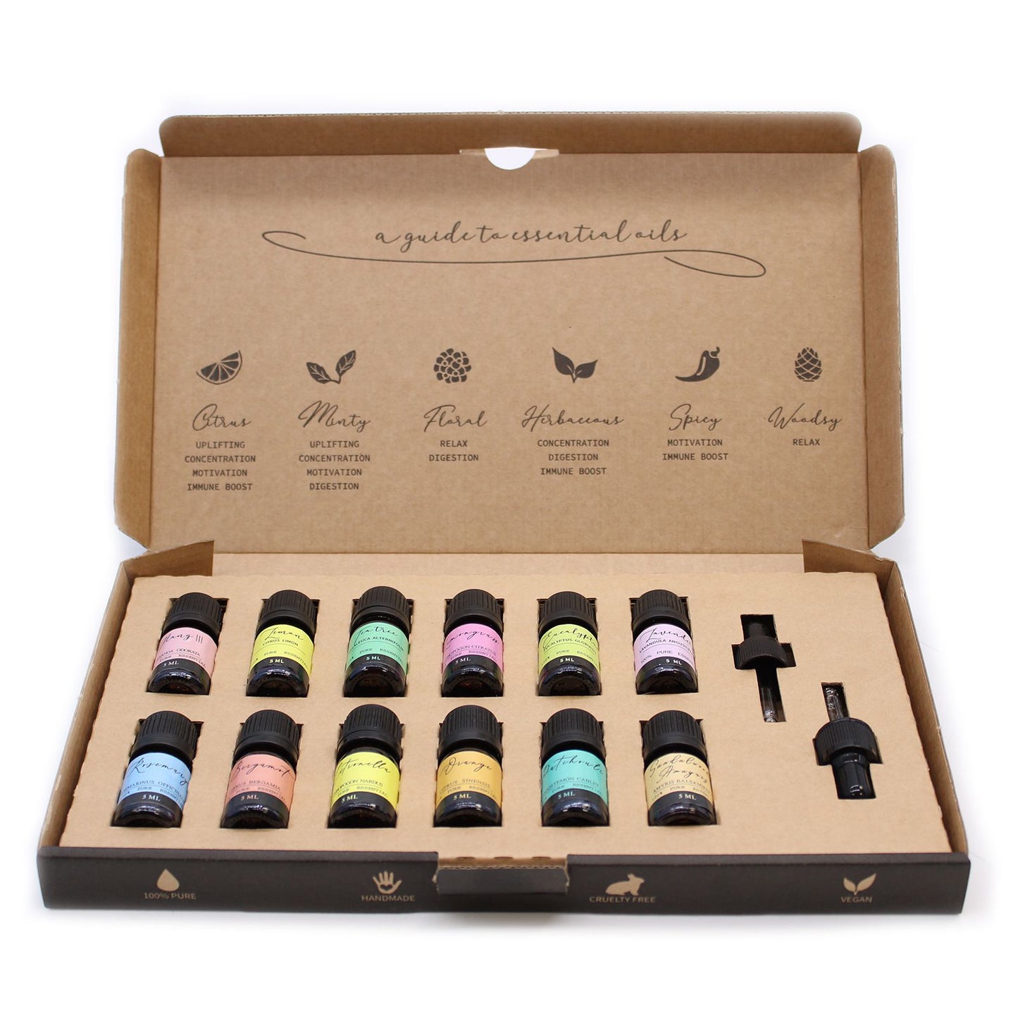 🌿 Aromatherapy Essential Oil Set – The Top 12