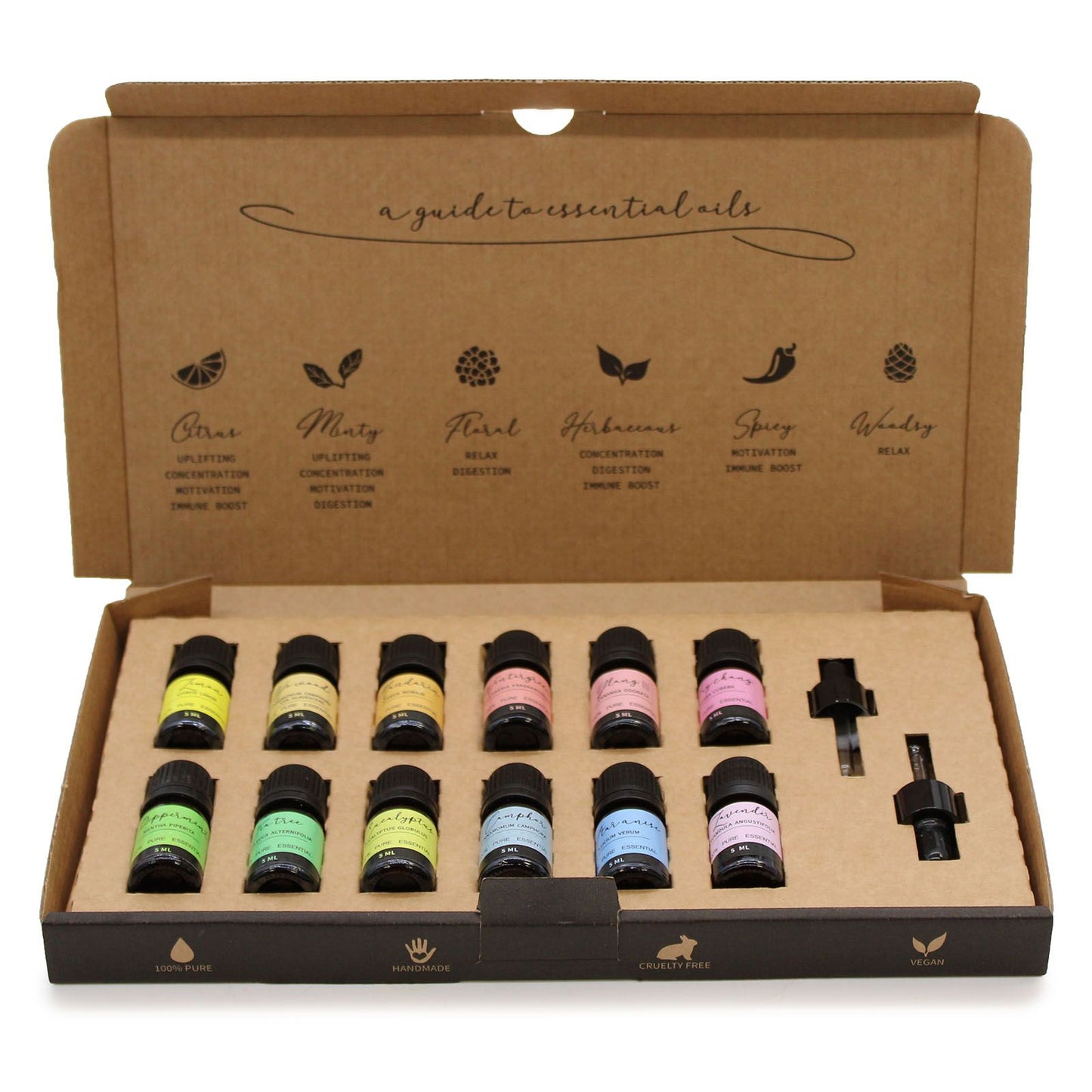 🌸 Aromatherapy Essential Oil Set – Starter Pack