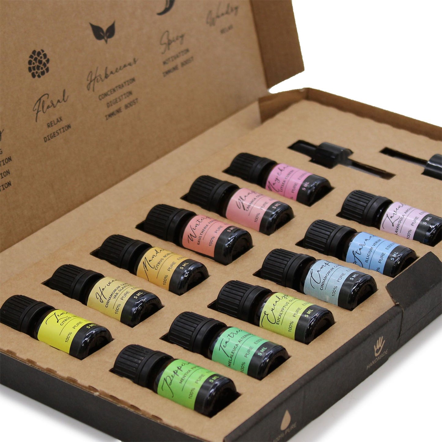 🌸 Aromatherapy Essential Oil Set – Starter Pack