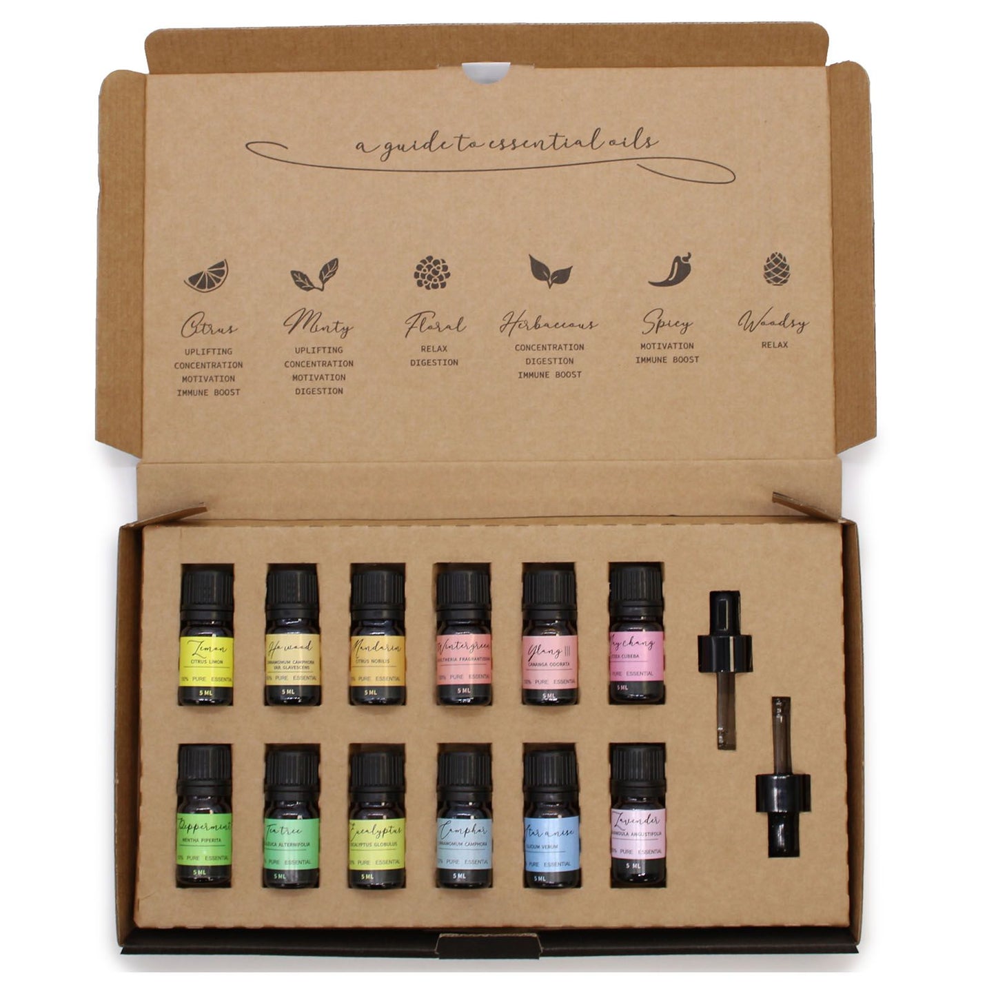 🌸 Aromatherapy Essential Oil Set – Starter Pack