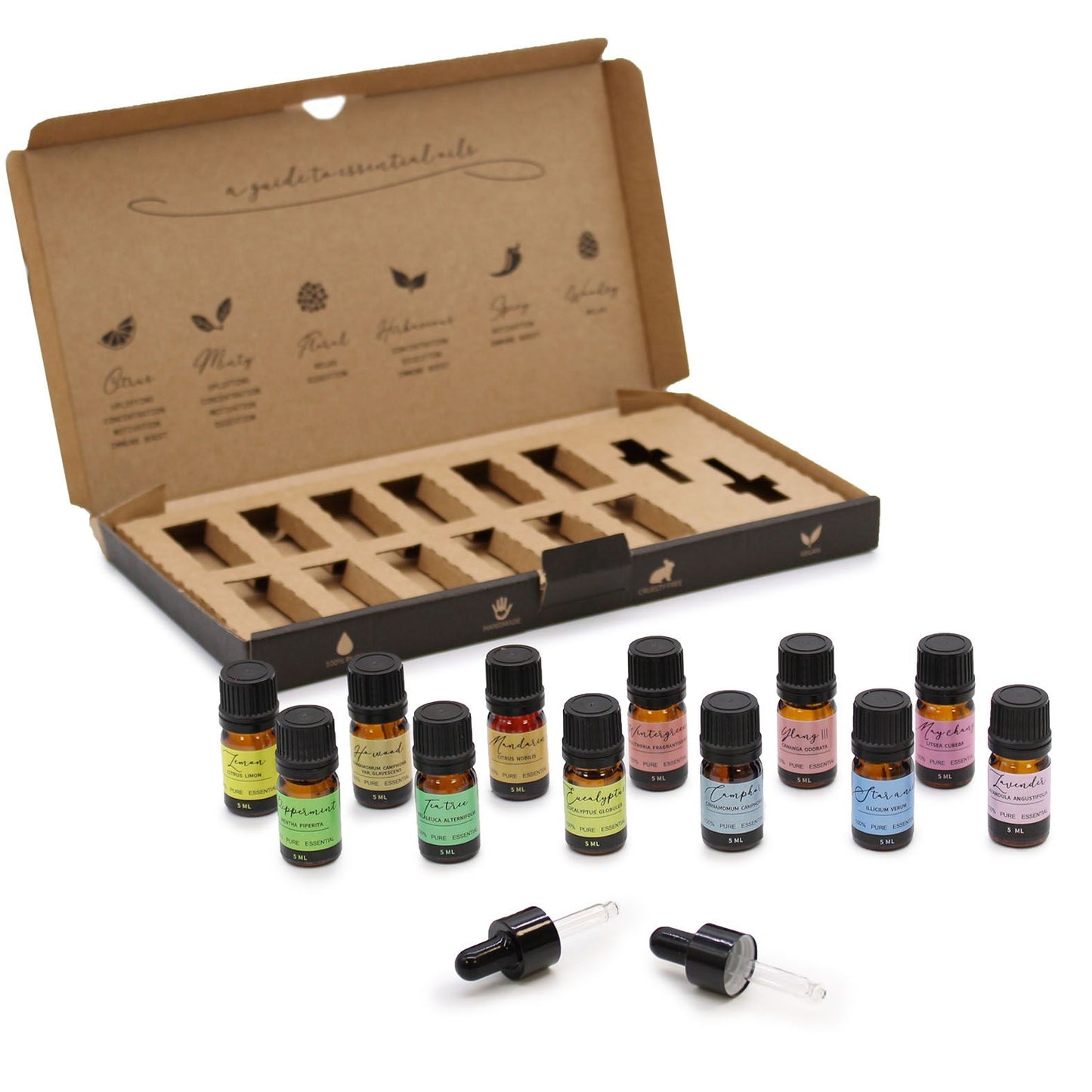 🌸 Aromatherapy Essential Oil Set – Starter Pack