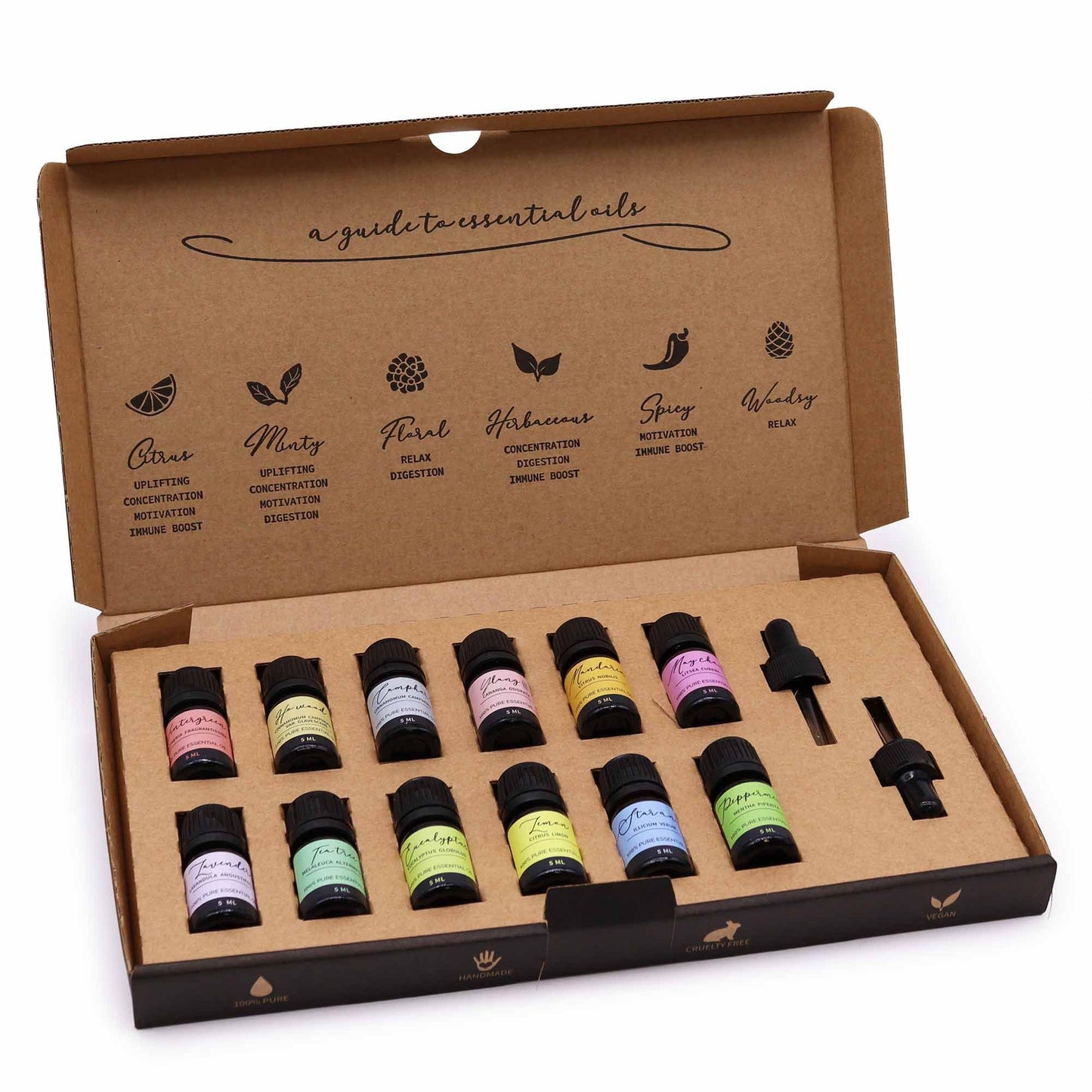 🌸 Aromatherapy Essential Oil Set – Starter Pack